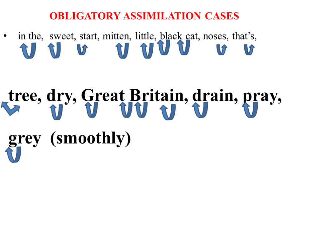 in the, sweet, start, mitten, little, black cat, noses, that’s, OBLIGATORY ASSIMILATION CASES tree,